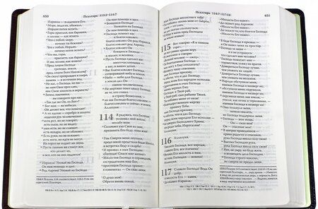 Фотография книги "Библия. Современный русский перевод"