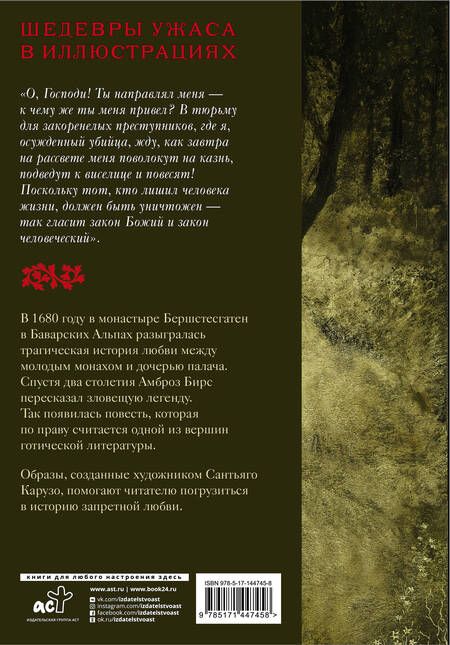 Фотография книги "Бирс: Монах и дочь палача"