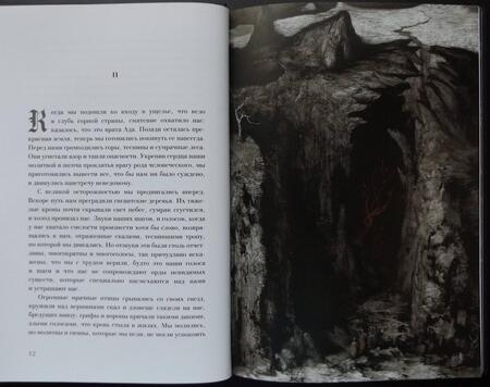 Фотография книги "Бирс: Монах и дочь палача"