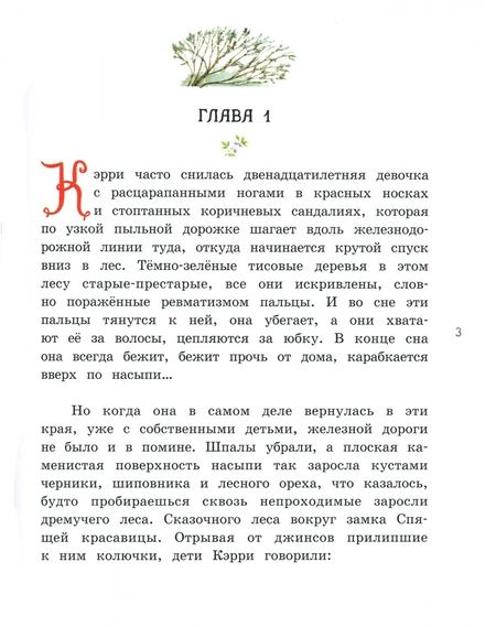 Фотография книги "Боден: Кэрри в дни войны"