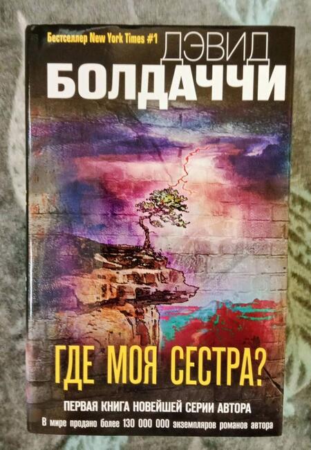 Фотография книги "Болдаччи: Где моя сестра?"