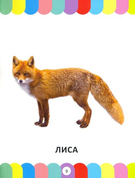 Фотография книги "Большая энциклопедия для малышей от 1 года до 3 лет"