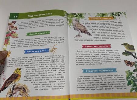 Фотография книги "Большая энциклопедия обо всем на свете начальной школы"