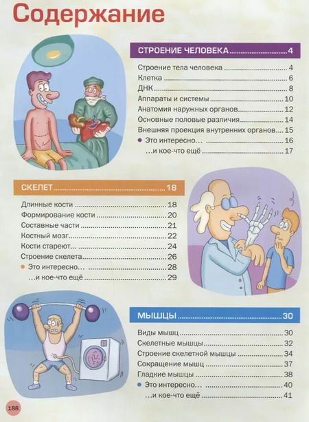 Фотография книги "Большая иллюстрированная энциклопедия. Все о теле человека"