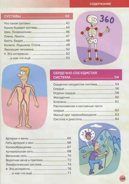 Фотография книги "Большая иллюстрированная энциклопедия. Все о теле человека"
