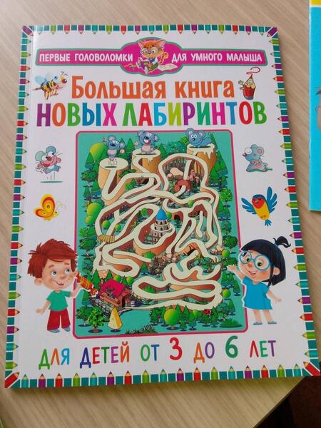 Фотография книги "Большая книга новых лабиринтов. Для детей от 3 до 6 лет"