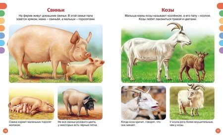 Фотография книги "Бомон Эмили: Животные разных стран"