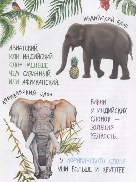 Фотография книги "Борис Житков: Рассказы о животных"