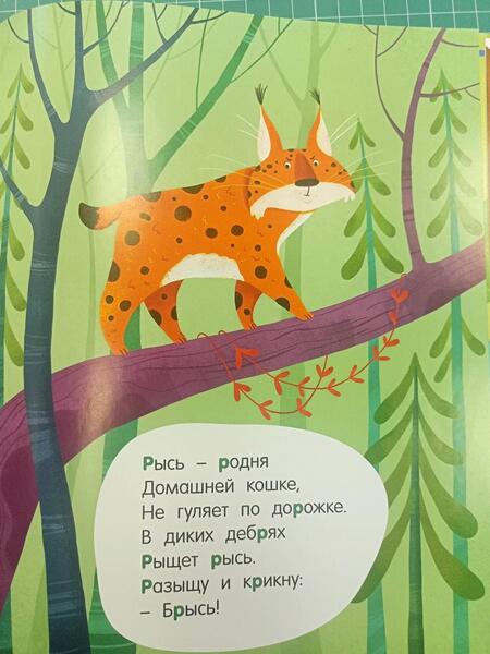 Фотография книги "Борисов: Азбука в стихах"