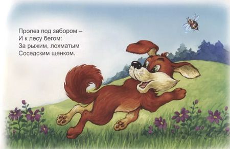 Фотография книги "Борисов, Борисов: Поросенок Хавроша"