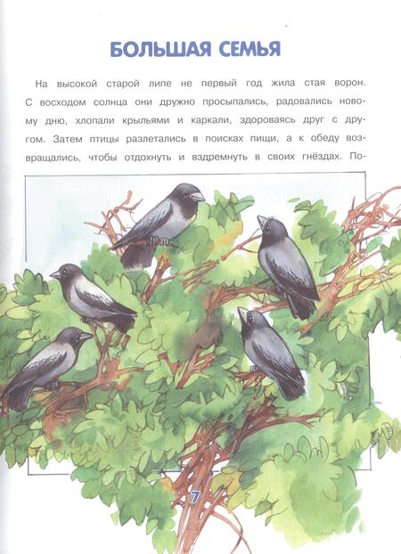 Фотография книги "Боровская, Боровский: Приключения Карчика и его друзей"