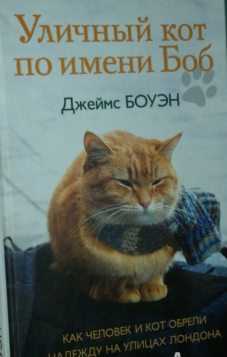 Фотография книги "Боуэн, Дженкинс: Уличный кот по имени Боб. Как человек и кот обрели надежду на улицах Лондона"