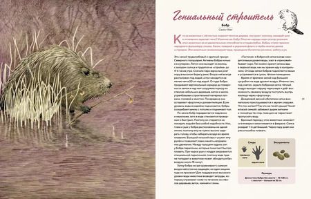 Фотография книги "Боувин Янсен: Наши соседи по планете. Рассказы о диких животных"