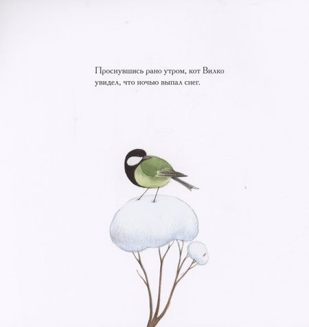 Фотография книги "Бояна Димитровски: Как Вилко зиму полюбил"