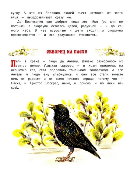 Фотография книги "Брейэр: Мамина пасочка"