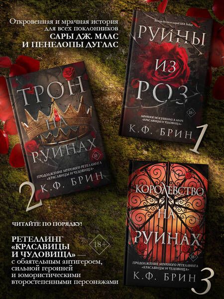 Фотография книги "Брин: Королевство на руинах"