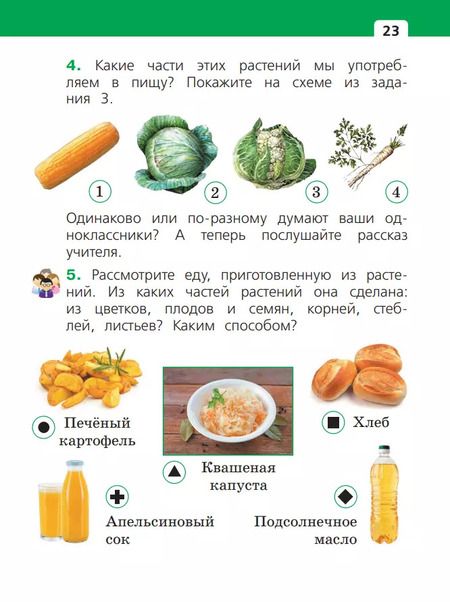 Фотография книги "Букварева, Чудинова: Окружающий мир. 1 класс. Учебное пособие. В двух частях. Часть 1"