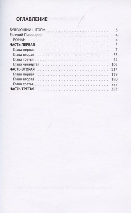 Фотография книги "Бушующий «Шторм»"