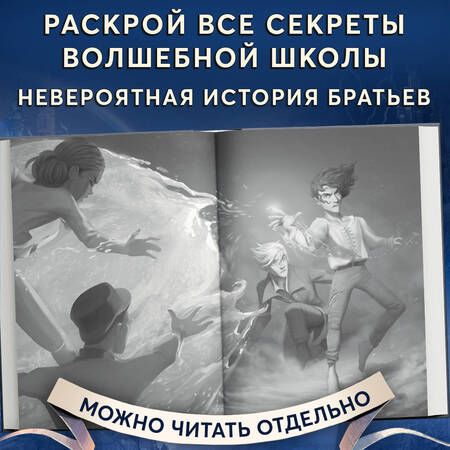 Фотография книги "Чайнани: Школа Добра и Зла. Рассвет"
