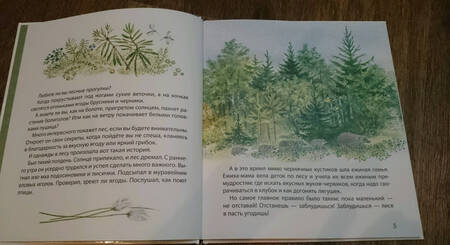 Фотография книги "Чарушина-Капустина: Самый маленький ежик"