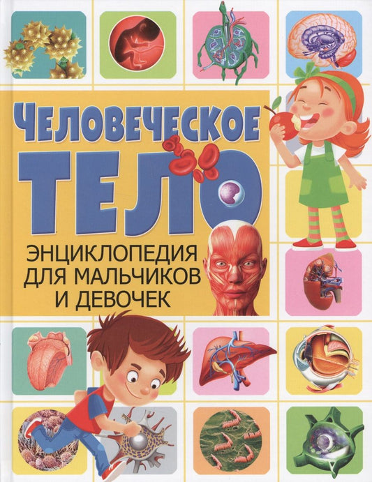 Обложка книги "Человеческое тело. Энциклопедия для мальчиков и девочек(МЕЛОВКА)"