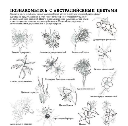 Фотография книги "Чералин Дарси: Флоросфера. Вдохновение"