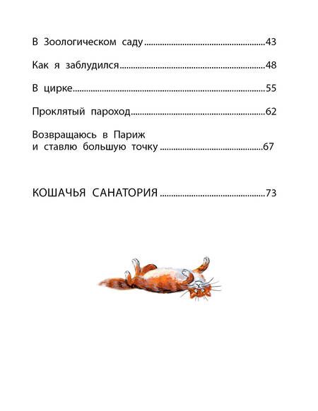 Фотография книги "Черный: Дневник фокса Микки"