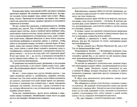 Фотография книги "Чернышев: Благородная страсть"