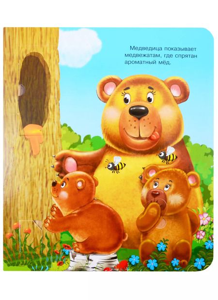 Фотография книги "Что? Почему? Зачем? Кто живет в лесу (40 окошек)"