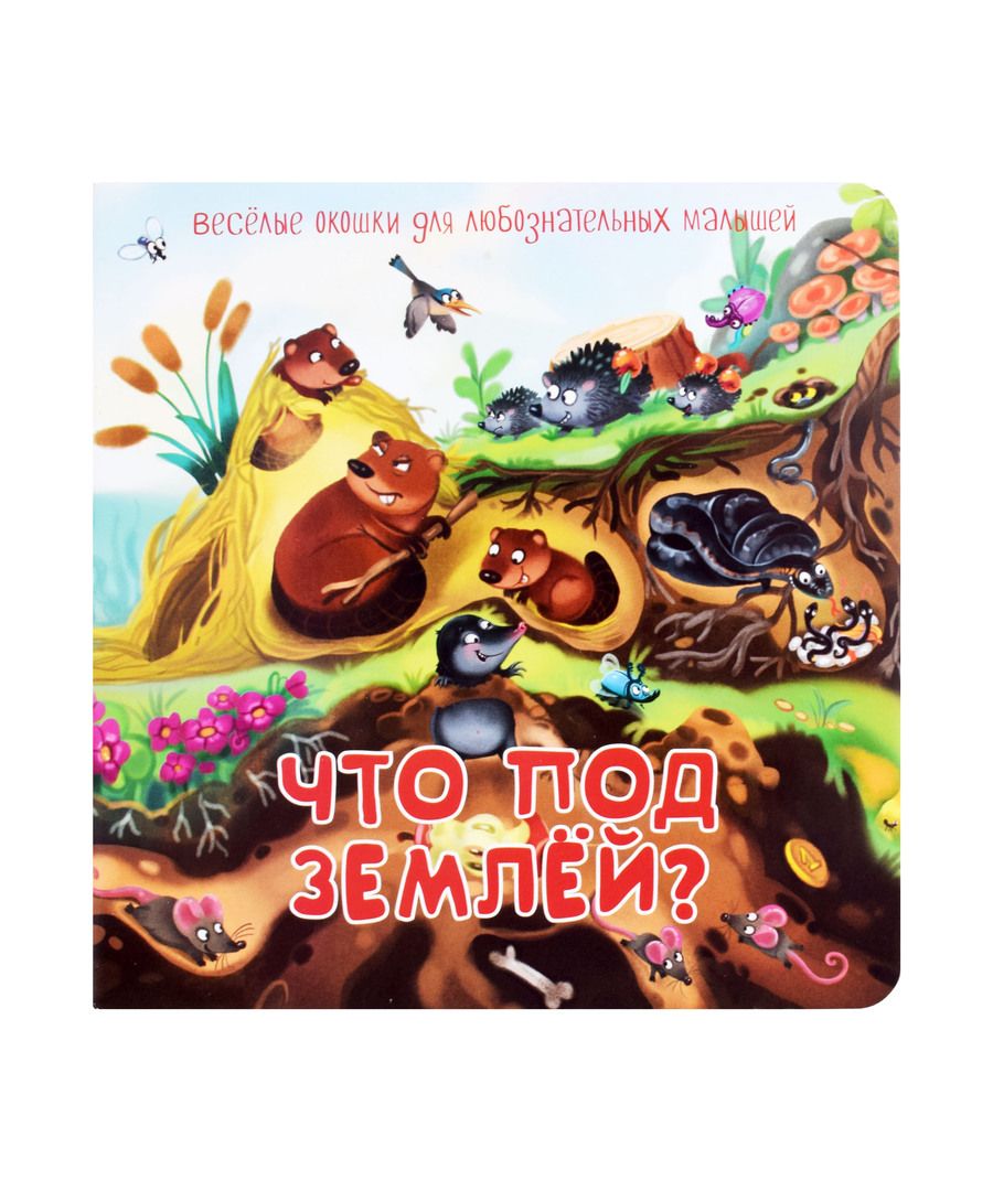 Обложка книги "Что под землей?"