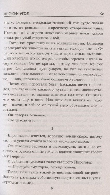 Фотография книги "Чуковский: Княжий угол"