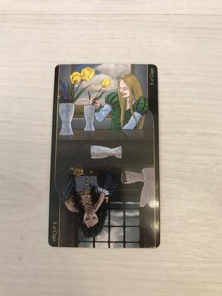 Фотография книги "д`Алози, Дзидзи: Таро Оппозиций. 78 карт + брошюра"