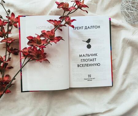 Фотография книги "Далтон: Мальчик глотает Вселенную"