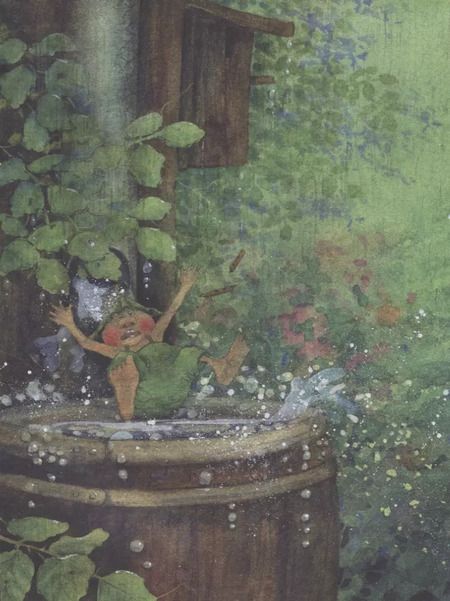 Фотография книги "Даниэла Дрешер: Гном из водосточной трубы: сказка"