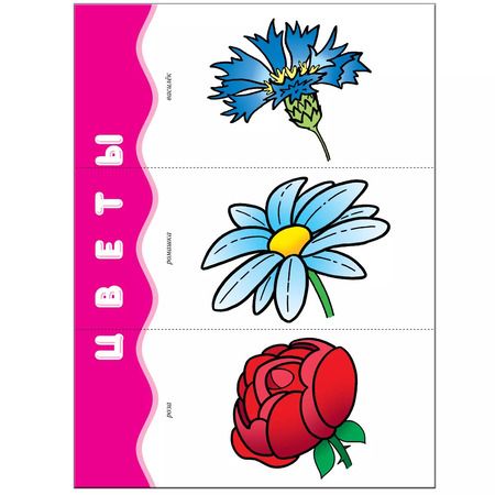 Фотография книги "Дарья Денисова: Мой первый словарик. Для занятий с детьми от 1 до 2 лет"