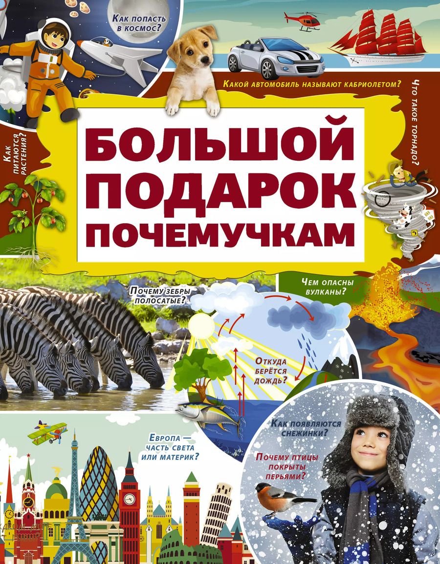 Обложка книги "Дарья Ивановна: Большой подарок почемучкам"