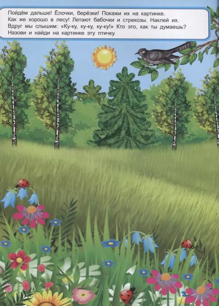 Фотография книги "Дарья Морозова: Мои лесные прогулки. Книжка с многоразовыми наклейками"