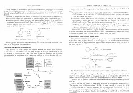 Фотография книги "Давыдов, Вавилова, Шестопалов: Medical Biochemistry. Учебник на английском языке"
