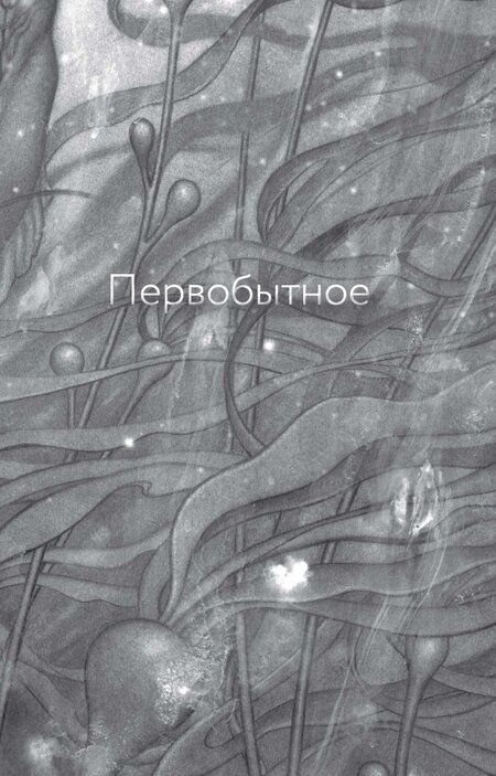 Фотография книги "Дель, Краус: Форма воды"