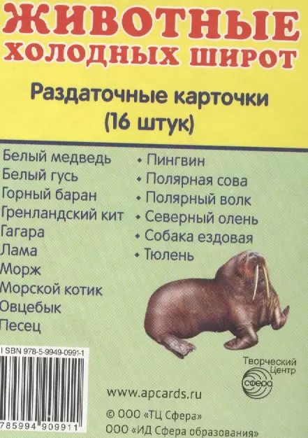 Обложка книги "Дем. картинки СУПЕР Животные холодных широт.16 раздаточных карточек с текстом (63х87 мм)"