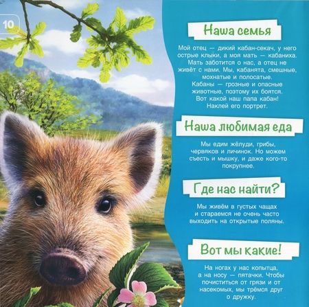 Фотография книги "Денс, Пухола: Познакомимся поближе! Лесные жители"