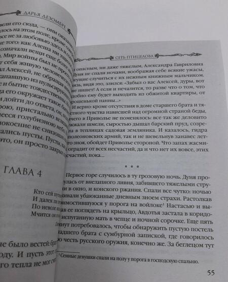 Фотография книги "Дезомбре: Сеть птицелова"