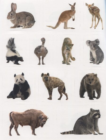 Фотография книги "Дикие животные. Дополни картинку! Внутри 48 фото-наклеек!"