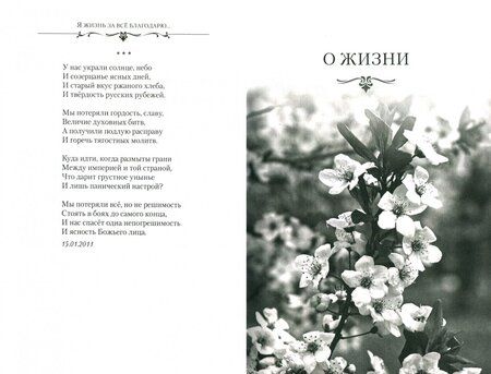 Фотография книги "Дмитриев: Я жизнь за всё благодарю... Духовно-философская лирика"