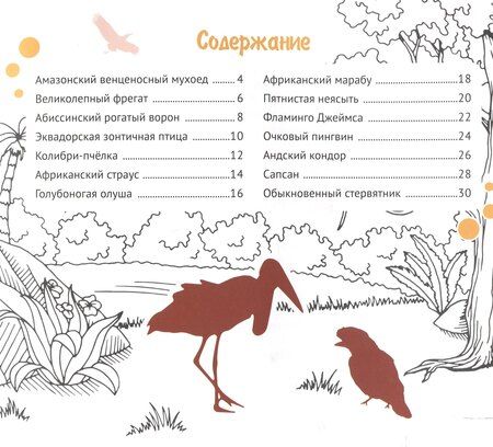 Фотография книги "Дмитрий Кошевар: Экзотические птицы. Серия "Планета Животных" (Соц. значимая 2023)"