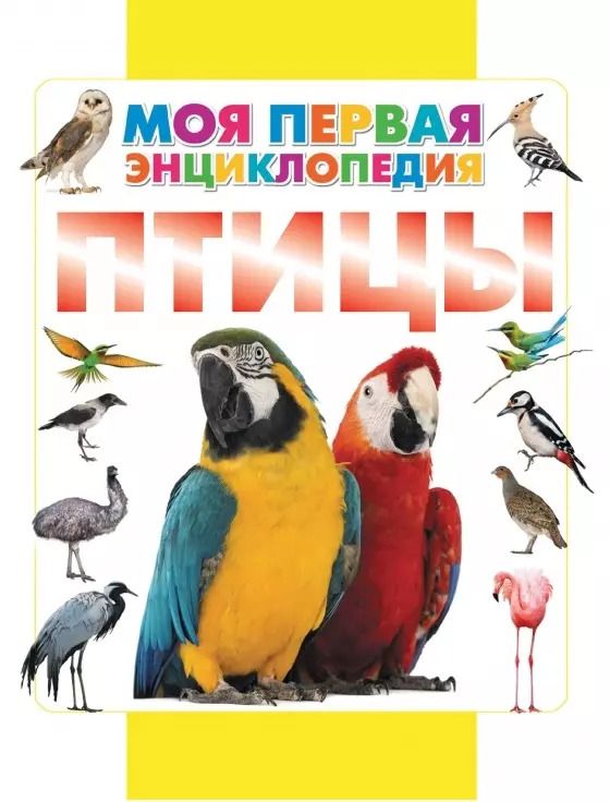 Обложка книги "Дмитрий Кошевар: Птицы"