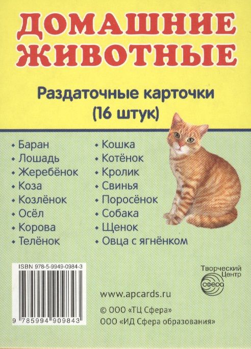 Обложка книги "Домашние животные. 16 раздаточных карточек с текстом"