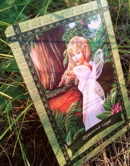 Фотография книги "Дорин Вирче: Магическая сила фей (44 карты+брошюра)"