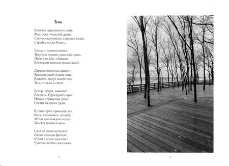 Фотография книги "Дорохов: Я - частичка огромной души"