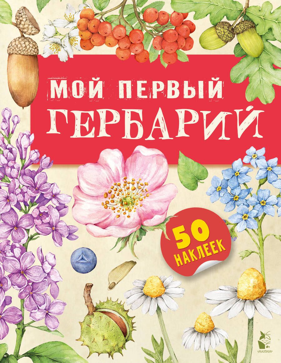Обложка книги "Дудова: Мой первый гербарий"